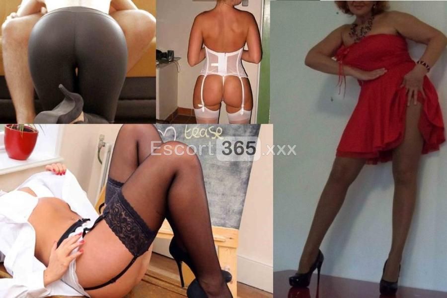 Tania: Passione Travolgente - Escort a Pescara - Foto 5