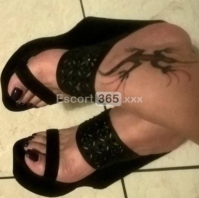 Stella: Bellissima e Irresistibile - Escort a Bologna - Foto 4
