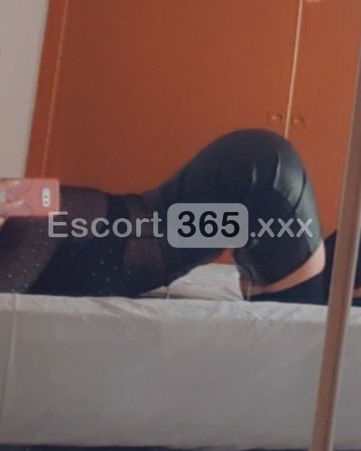 Eva: Tentatrice - Escort a Bologna - Foto 3