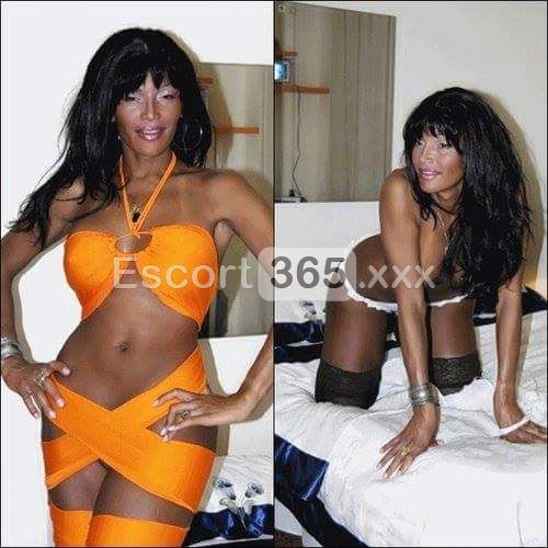 Martina: Sexy e Travolgente - Trans a Senigallia - Foto 3
