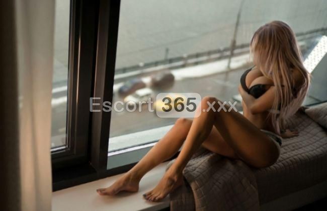 Sabrina: Tentatrice e Sublime - Escort a Firenze - Foto 2