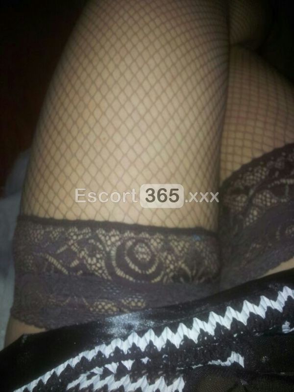 Arianna Italiana: Pura Eleganza - Escort a Torino - Foto 4