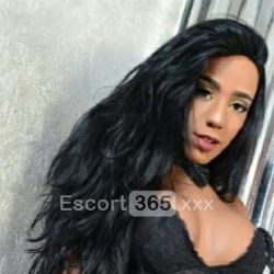 Jenifer: Esotico Calore Escort Rimini: annunci, incontri e recensioni reali di Vip Escort, Escort, Pornostar, Trans, Massaggi, Mistress, Coppie e Orientali.