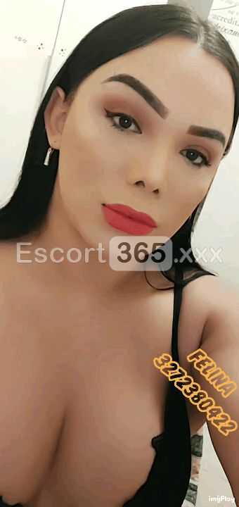 Felina: Misteriosa - Trans a Trani - Foto 11