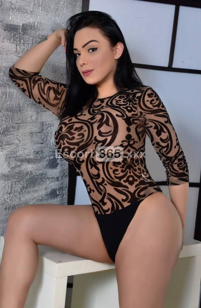 Felina: Misteriosa - Trans a Trani - Foto 5