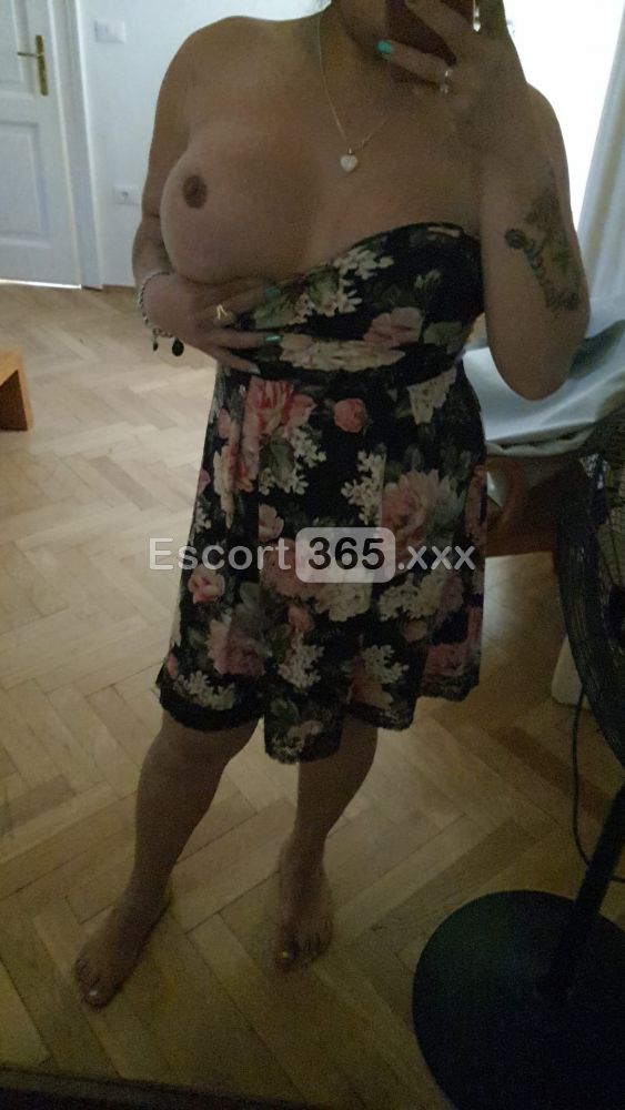 Camilla: Esclusiva e Incantevole - Trans a Bolzano / Bozen - Foto 7