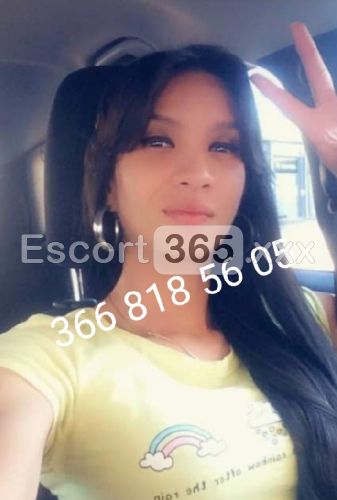 Angela: Perfetta - Trans a Montesilvano - Foto 8