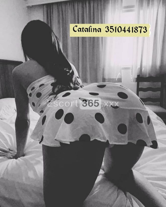 Catalina: Seducente e Caliente - Escort a Milano - Foto 5