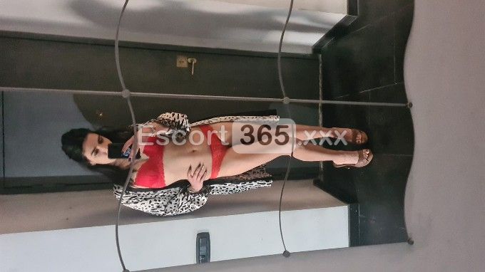 Pamela: Sogno Segreto - Escort a Roma - Foto 1