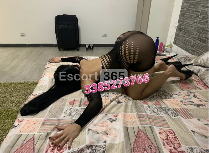 Penelope: Statuaria e Magnetica - Escort a Palermo - Foto 4