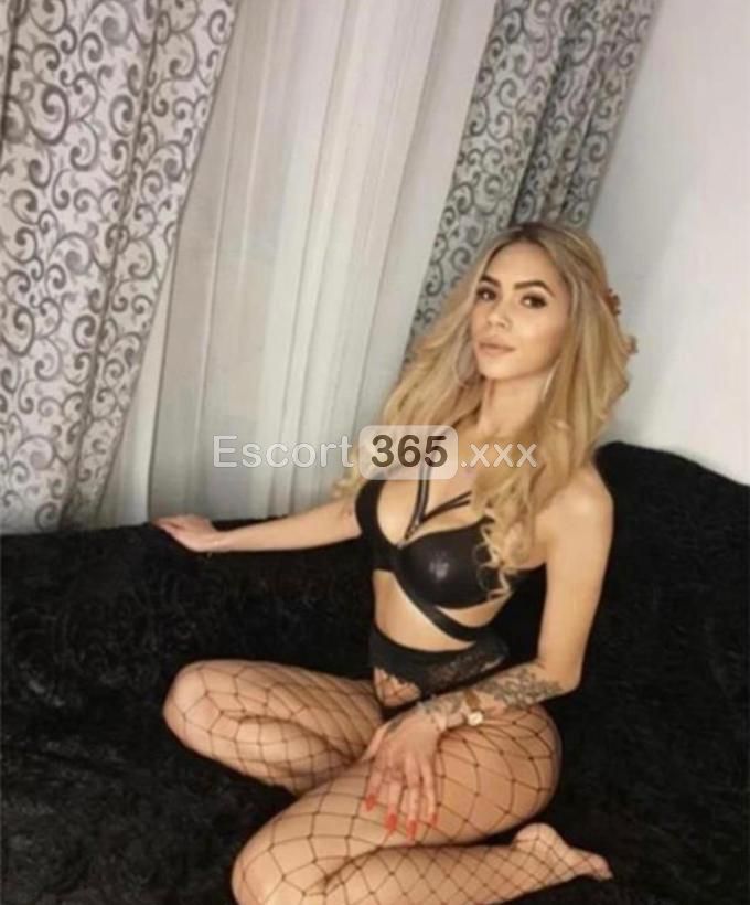 Ana: Libidinosa e Provocante - Escort a La Spezia - Foto 5