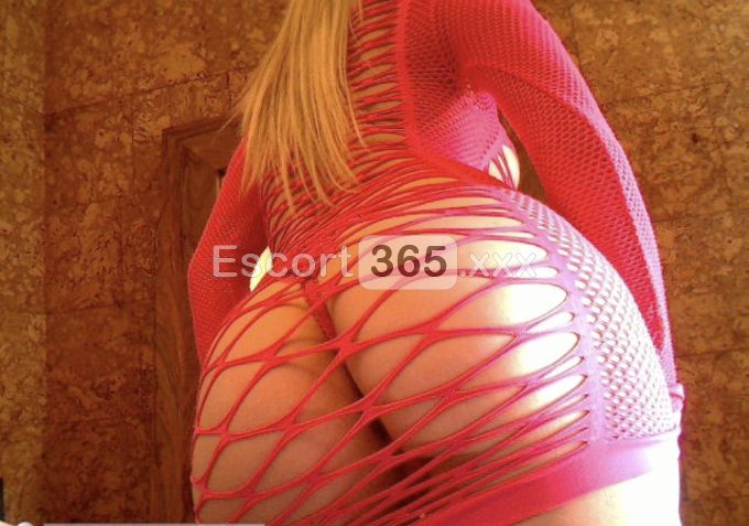 Rubia de Oro: Magnifica e Focosa - Escort a Verona - Foto 3