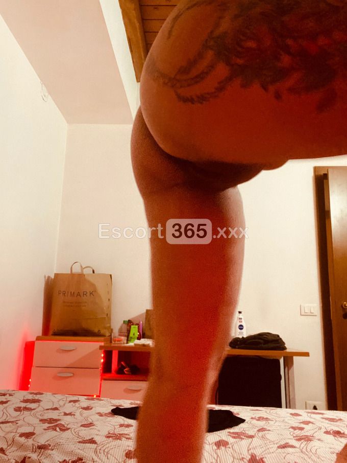 Rosi: Spumeggiante e Passionale - Escort a Verona - Foto 5