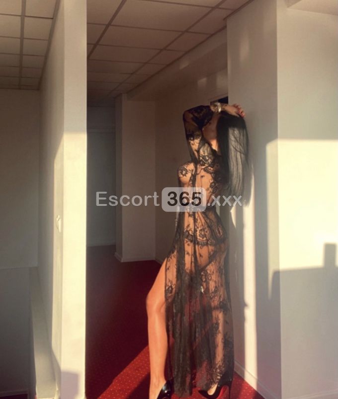 Andrea: Statuaria e Seducente - Escort a Villorba - Foto 1