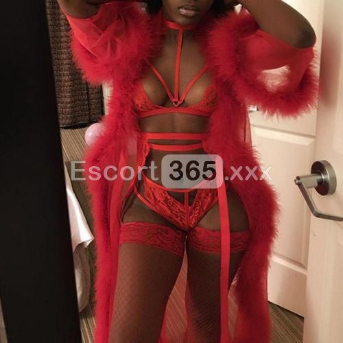 Karol: Incantevole e Distinta - Escort a Ivrea - Foto 2