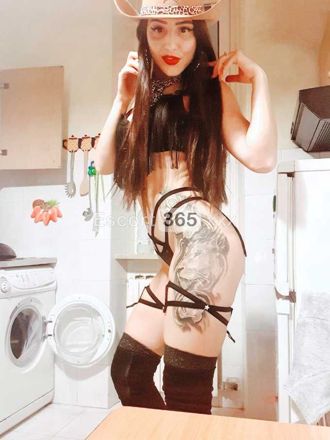 Alina: Socievole e Raffinata - Escort a Firenze - Foto 5