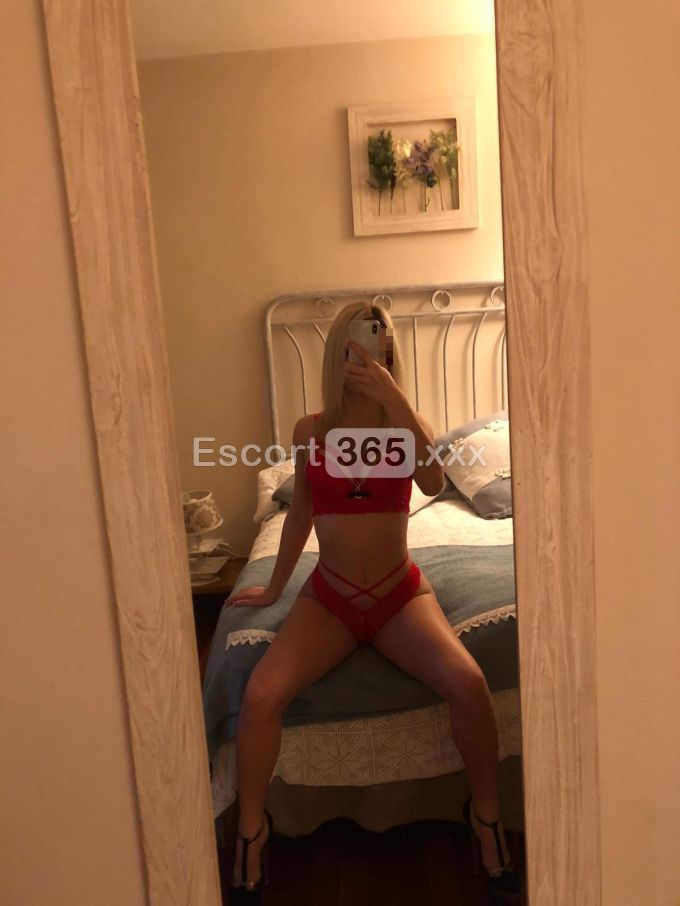 Misha: Ammaliante - Escort a Montecatini-Terme - Foto 3