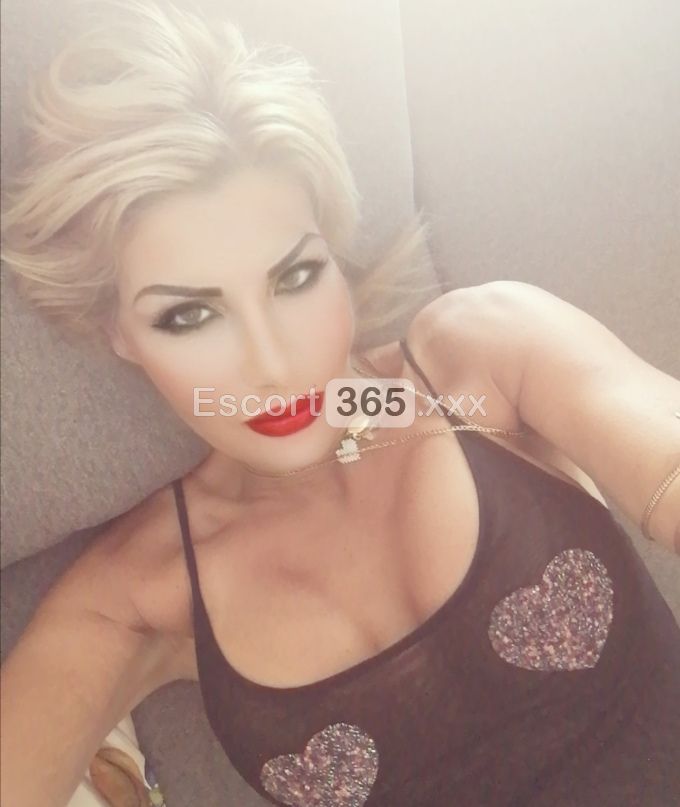 Veronica Italiana: Raffinata - Escort a Barletta - Foto 6