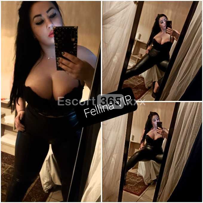 Felina: Professionale e Molto Rilassante - Escort a Foggia - Foto 6