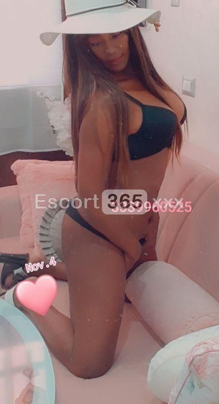 Camilla: Giovane e Molto Intrigante - Escort a Foggia - Foto 12