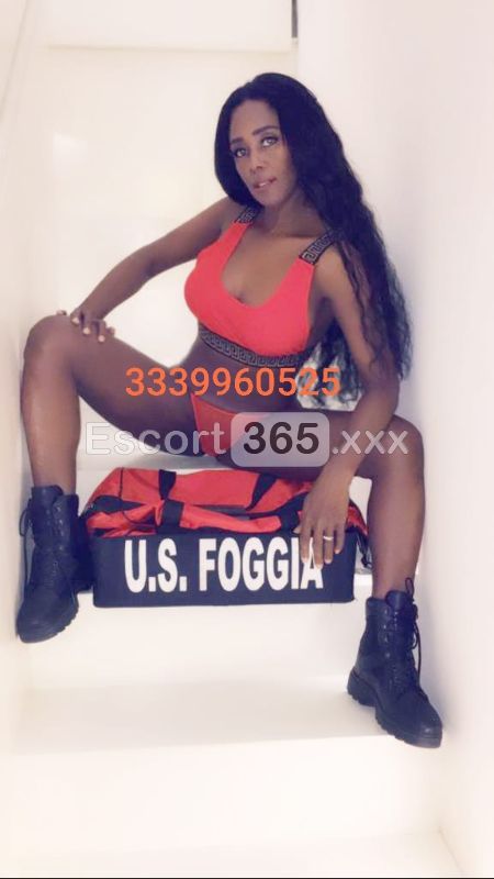 Camilla: Giovane e Molto Intrigante - Escort a Foggia - Foto 14