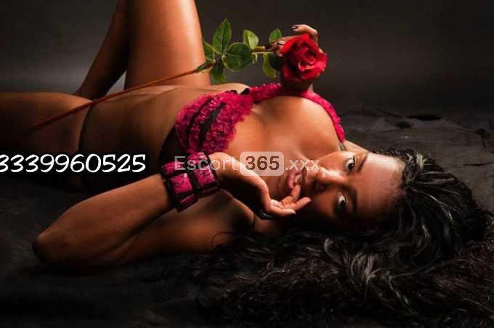 Camilla: Giovane e Molto Intrigante - Escort a Foggia - Foto 3