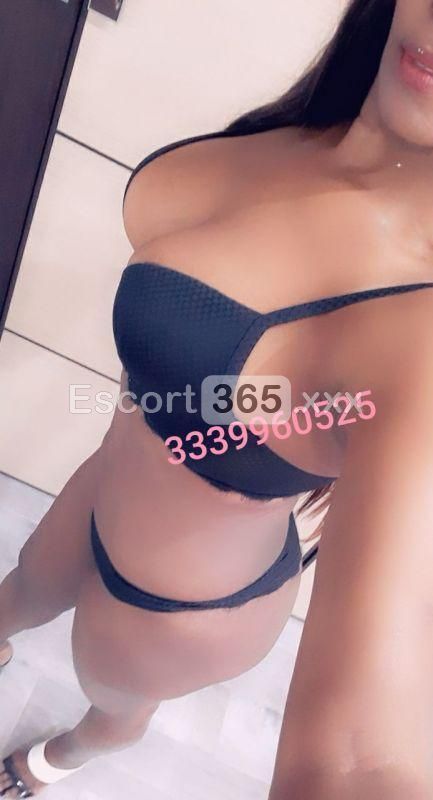 Camilla: Giovane e Molto Intrigante - Escort a Foggia - Foto 9