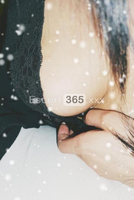 Catanese Doc: Italiana Vera e Senza Limiti - Escort a Catania
