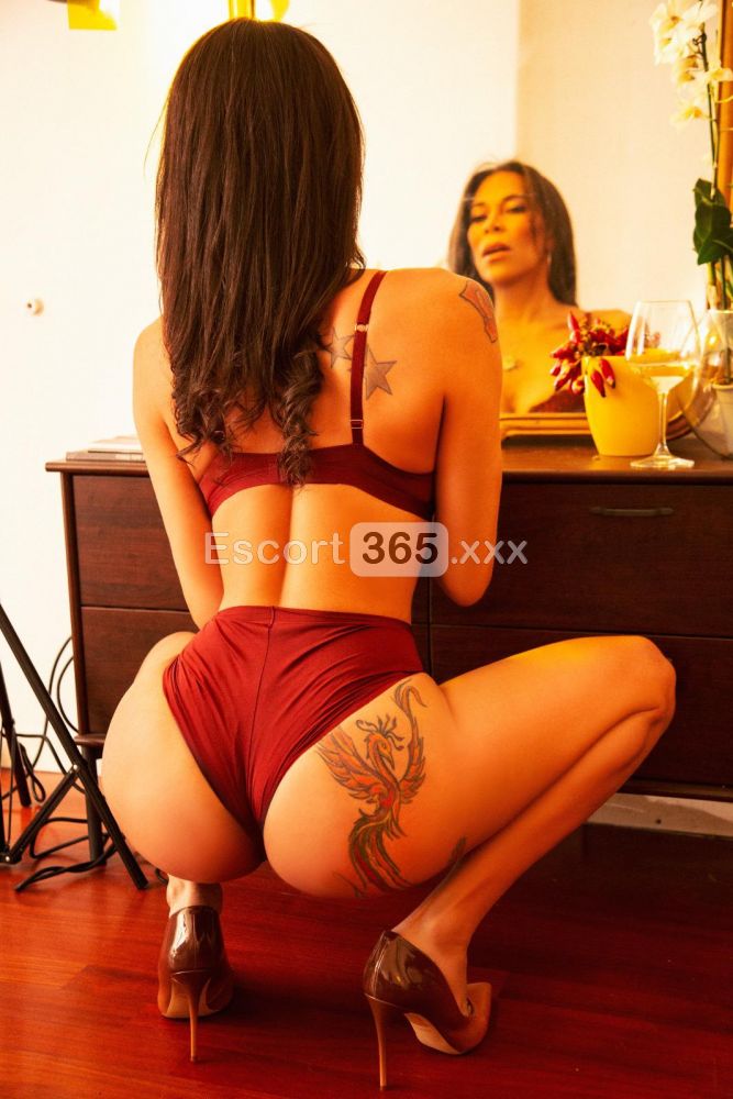 Lia Guimarães: Bella con Foto Reali al 100% - Trans a Bologna - Foto 17
