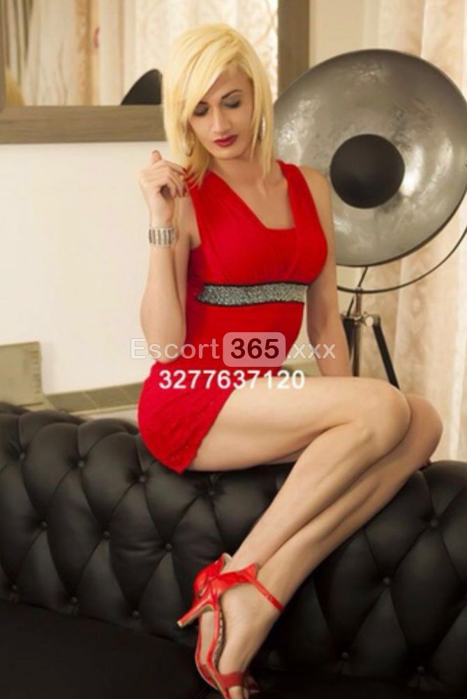 Veronica: Raffinata Trans Italiana con Foto Reali - Trans a San Bonifacio - Foto 8