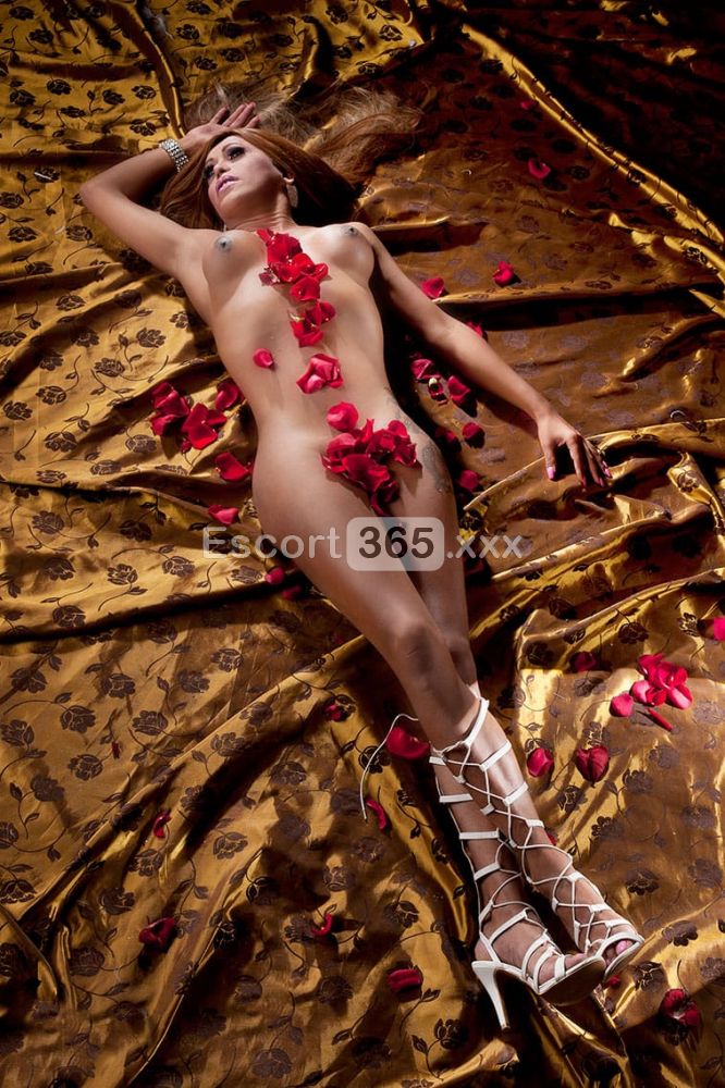 Sabrina Principessa: Femminile e Perversa - Trans a Ravenna - Foto 6