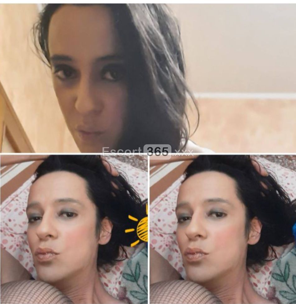 Katherine: Trans Autentica e Vogliosa - Trans a Torino - Foto 3
