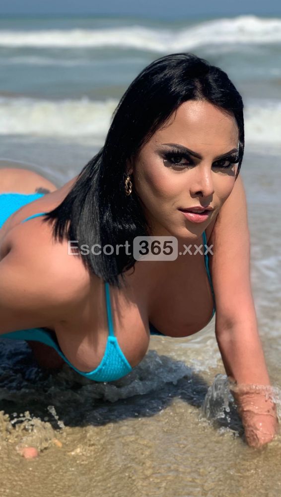 Eloiza: Bellissima e Completissima - Trans a Massa - Foto 8