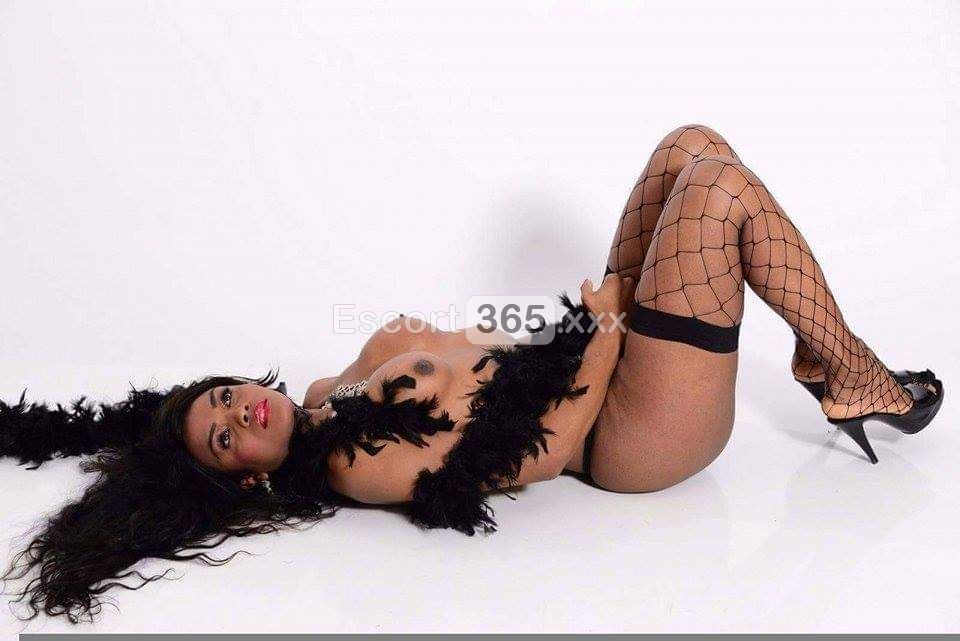 Michelly: Trans Perversa e Completa - Trans a Milano - Foto 5