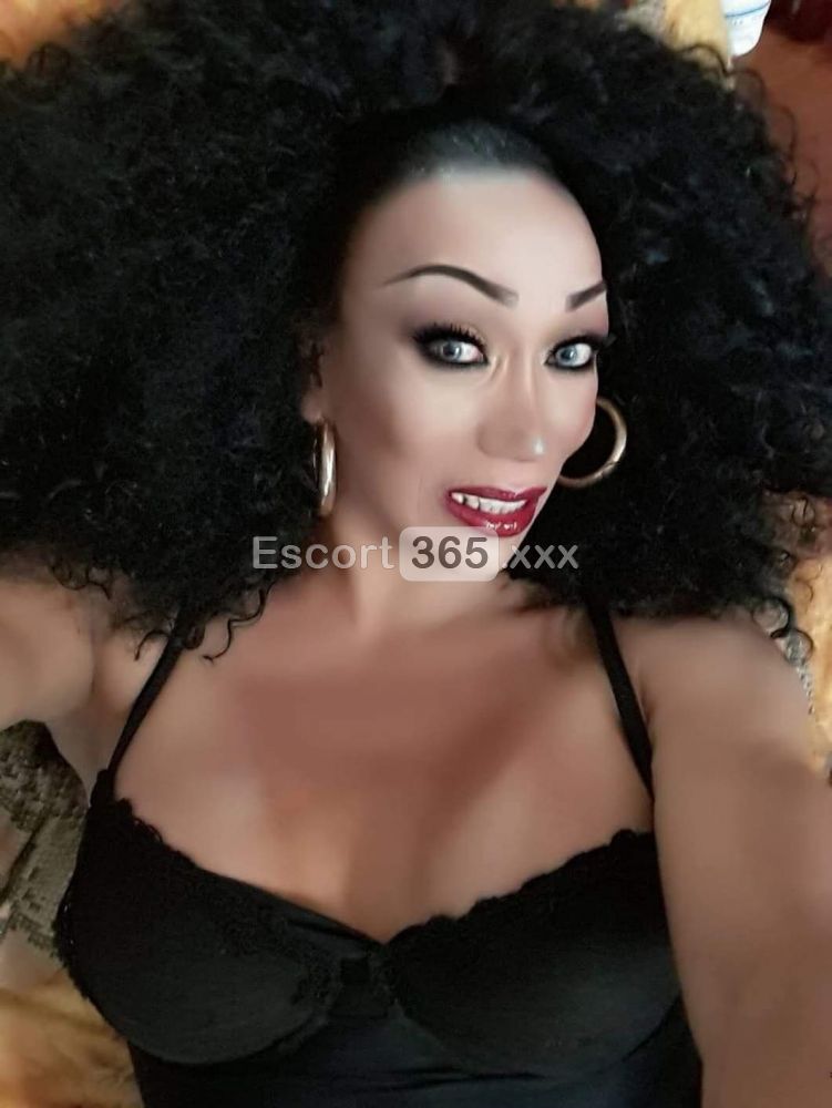 Veronica: TS MILF Statuaria con 20cm - Trans a Milano - Foto 8
