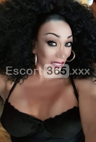 Veronica: TS MILF Statuaria con 20cm - Trans a Milano - Foto 9