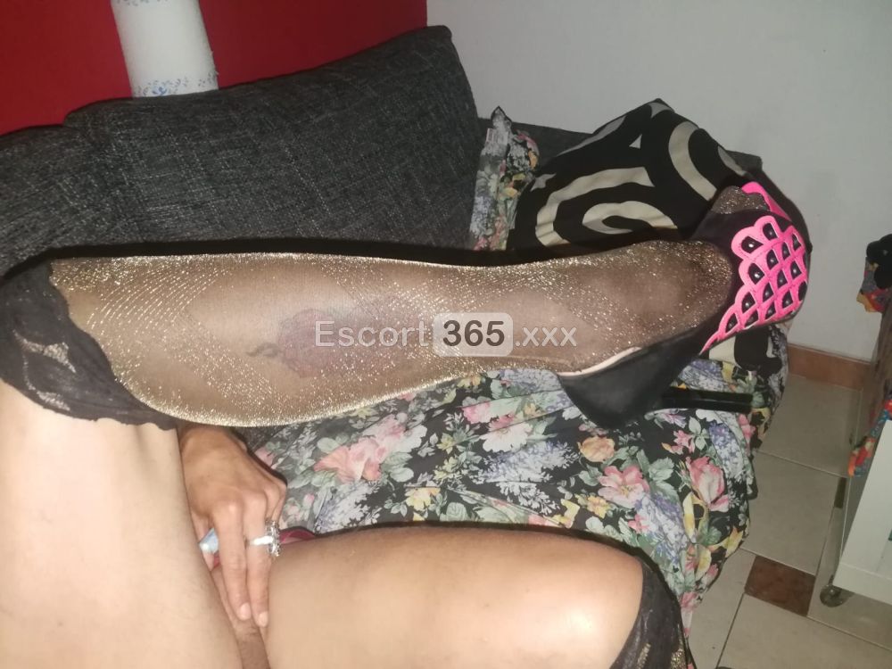 Danna Swarovski: Bionda Statuaria h24 - Trans a Livorno - Foto 3