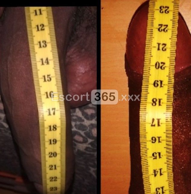 Linda XXL: Dominante e Virile con 23cm - Trans a Perugia - Foto 9