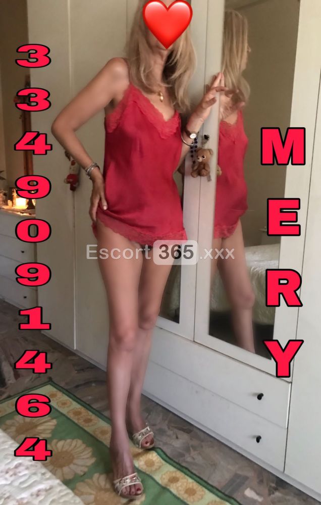 Maria: Donna Matura Calda e Disponibile - Escort a Alessandria - Foto 11