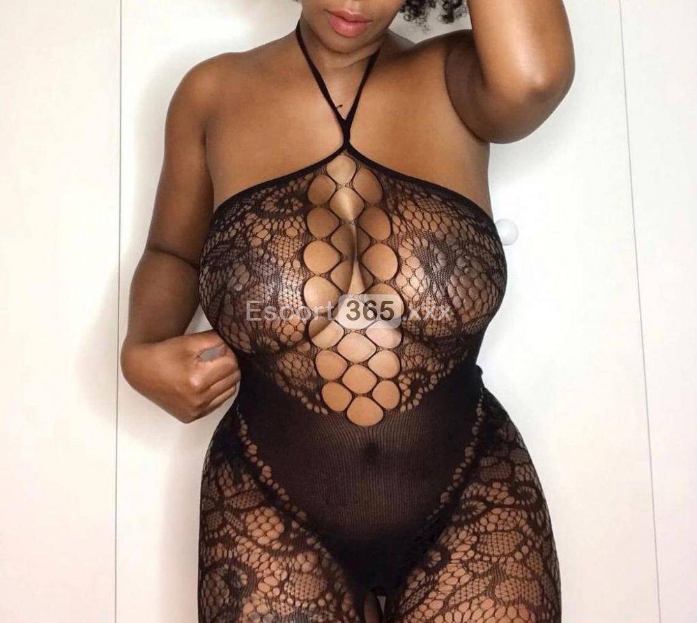 Vanessa: Favolosa Mulatta Bomba Sexy - Escort a Civitanova Marche - Foto 2