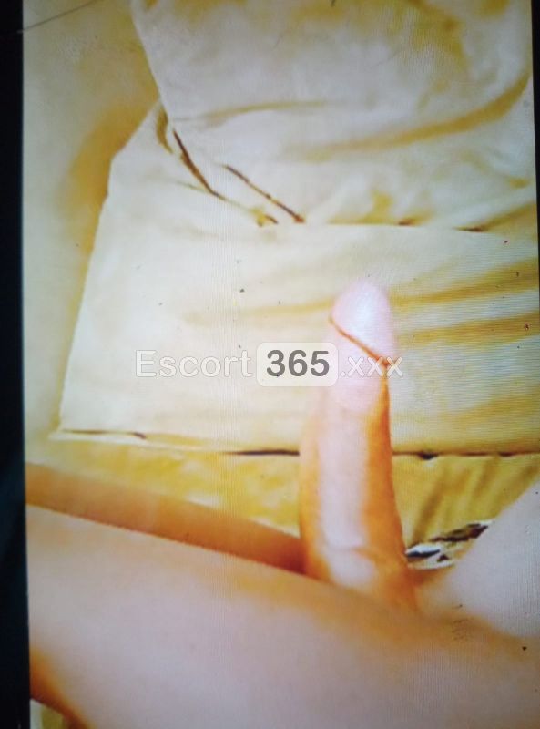 Thalia Prado: Dea del Peccato - Trans a Martinsicuro - Foto 5