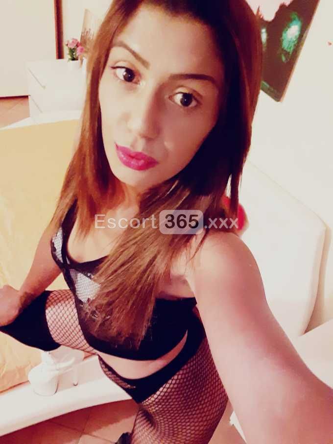 Padrona: Donna Senza Limiti e Attrezzata - Escort a Roma - Foto 1