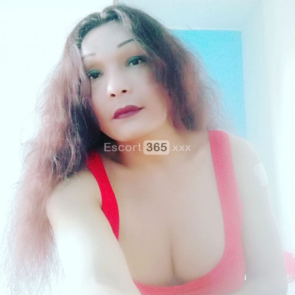Alejandra: Statuaria Bellezza Passionaria - Trans a Perugia - Foto 8
