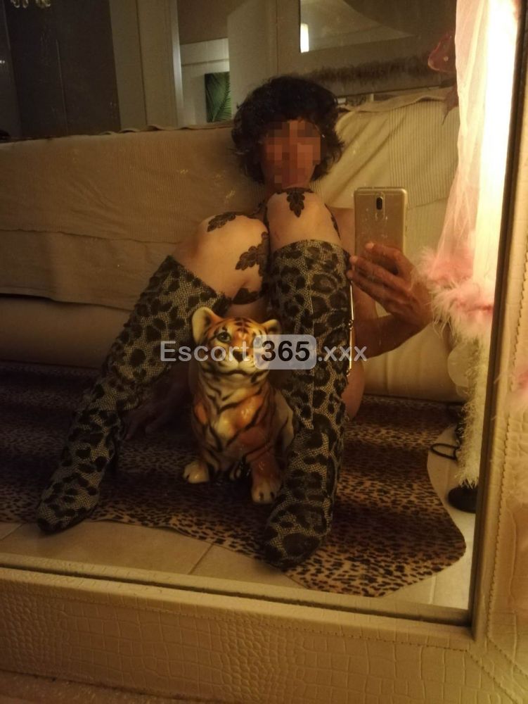 Chris Relax: Italiana di Classe - Vip Escort a Bologna - Foto 10