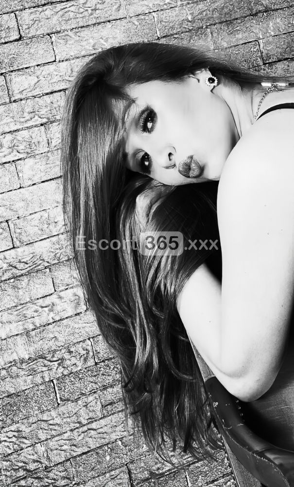 Luisa: Bellissima e Sensuale - Escort a Torino - Foto 4