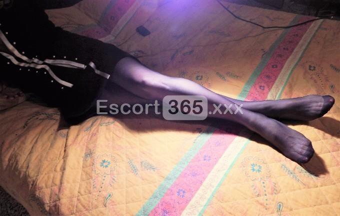 Nicole: L'Incontro Incomparabile ed Elite - Escort a Bologna - Foto 2
