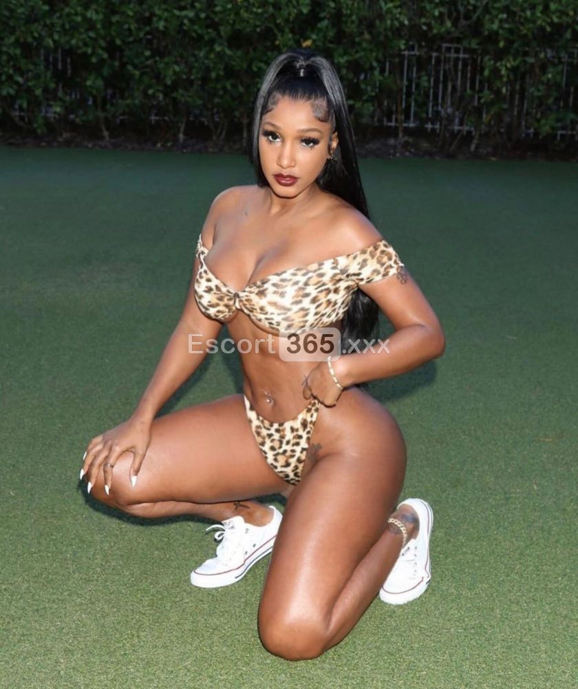 Olivia: Vogliosa ed Eccitante - Escort a Torino - Foto 3