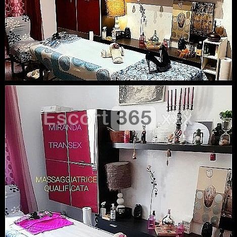Miranda Tx: Passione e Relax Rigenerante - Trans a Roma - Foto 13