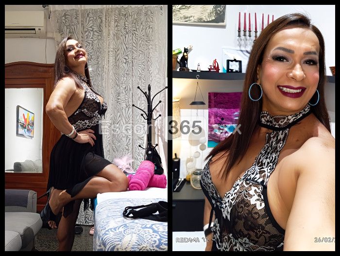 Miranda Tx: Passione e Relax Rigenerante - Trans a Roma - Foto 16