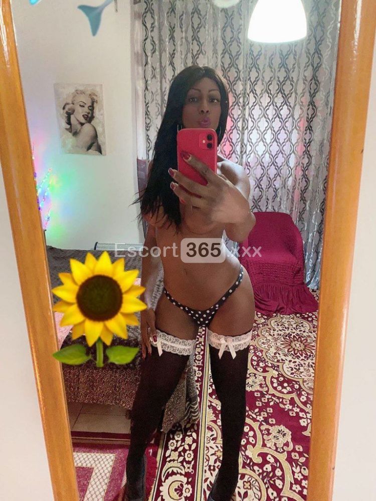 Samanta: Sensualità Incredibile e Piacere Unico - Trans a Roma - Foto 21